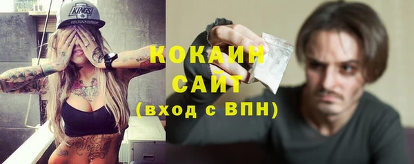 стаф Верея