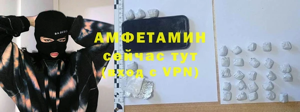 стаф Верея