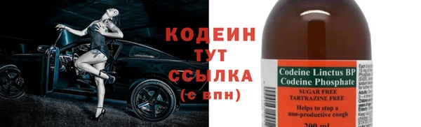 стаф Верея