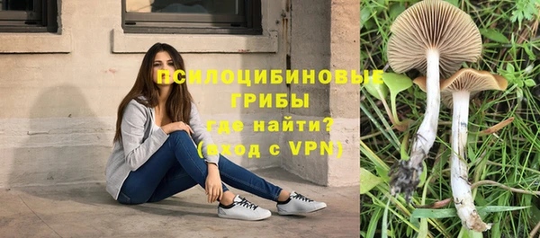 бутират Богданович