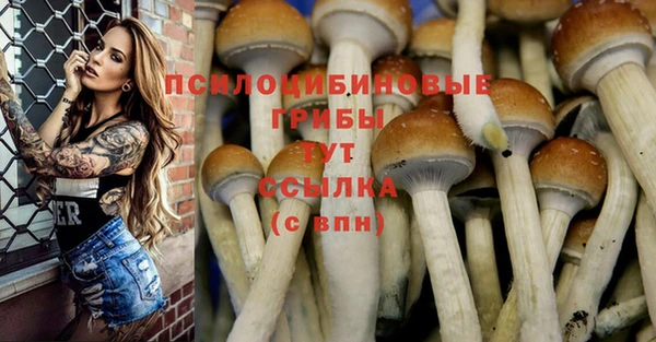 прущая мука Богородск