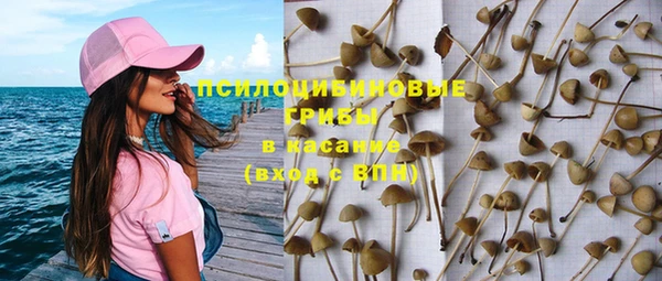 ECSTASY Новый Уренгой