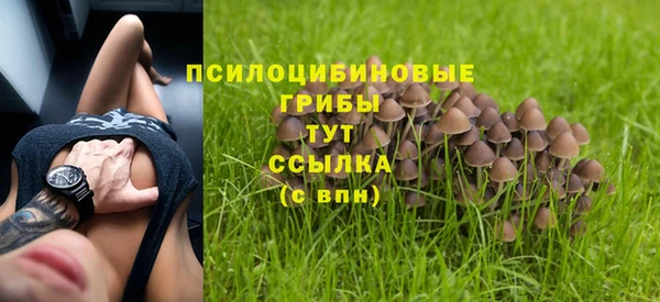 прущая мука Богородск