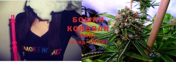 ECSTASY Новый Уренгой
