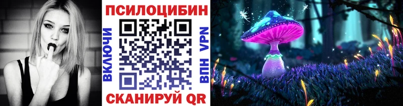 где купить наркоту  Гаврилов-Ям  Псилоцибиновые грибы GOLDEN TEACHER 
