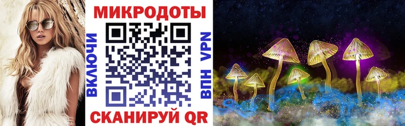 Галлюциногенные грибы MAGIC MUSHROOMS Гаврилов-Ям